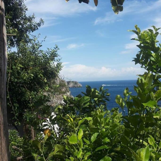Villa Lena Conca dei Marini Exterior foto
