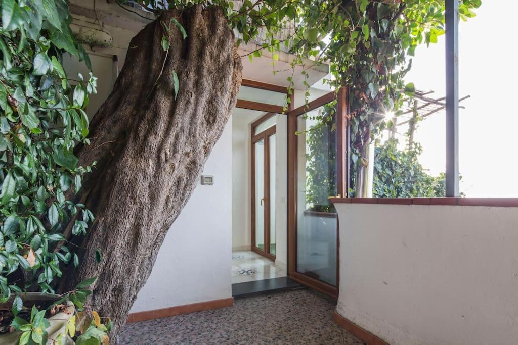 Villa Lena Conca dei Marini Exterior foto